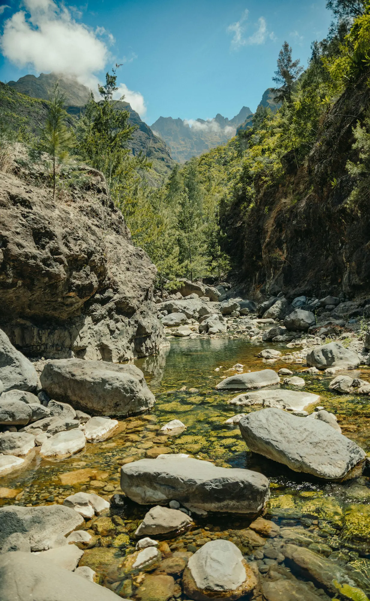 Randonnée et bassin île de la Réunion